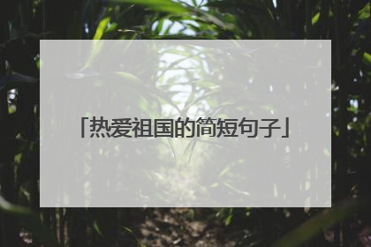 热爱祖国的简短句子