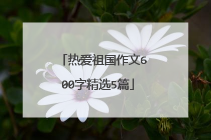 热爱祖国作文600字精选5篇