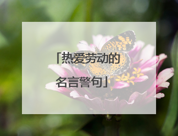 热爱劳动的名言警句
