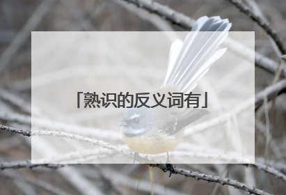 熟识的反义词有