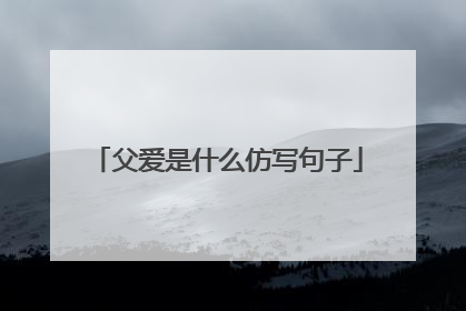 父爱是什么仿写句子