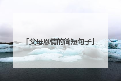父母恩情的简短句子