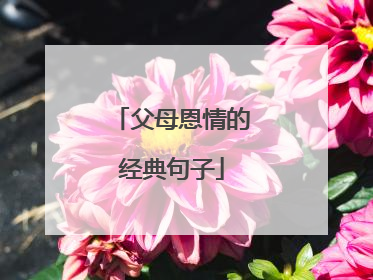 父母恩情的经典句子