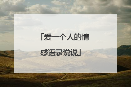 爱一个人的情感语录说说