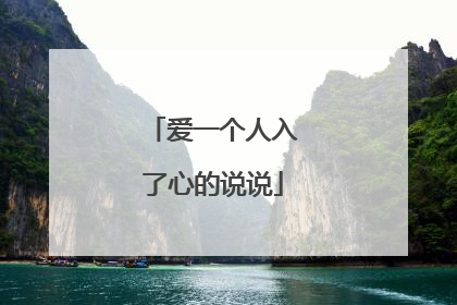 爱一个人入了心的说说