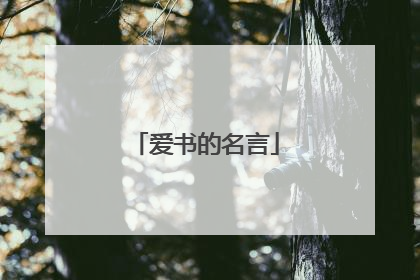 爱书的名言