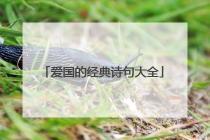 爱国的经典诗句大全