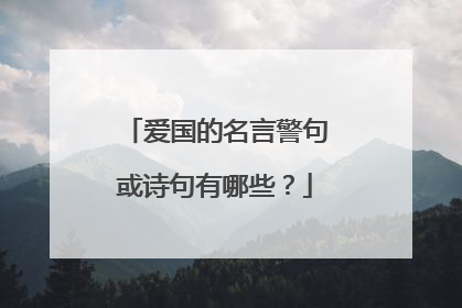 爱国的名言警句或诗句有哪些？