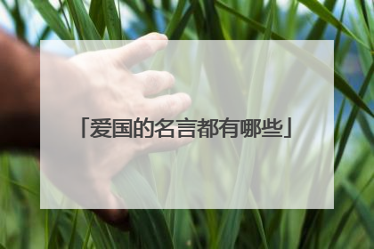 爱国的名言都有哪些