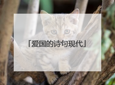 爱国的诗句现代