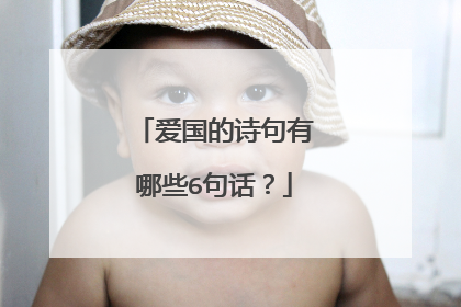 爱国的诗句有哪些6句话？