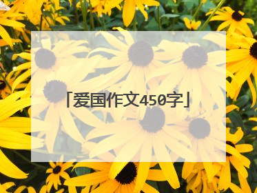 爱国作文450字