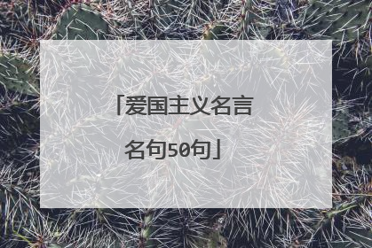 爱国主义名言名句50句