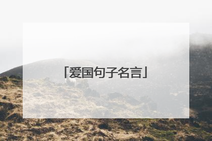 爱国句子名言