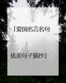 爱国名言名句优美句子摘抄