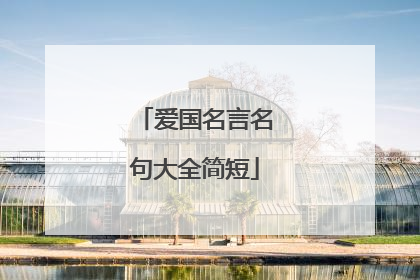 爱国名言名句大全简短