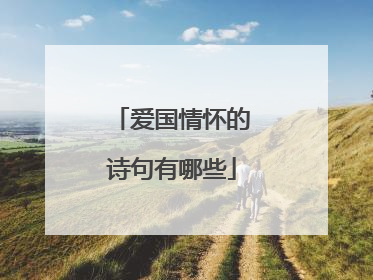 爱国情怀的诗句有哪些