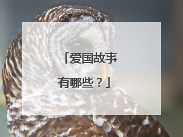 爱国故事有哪些？