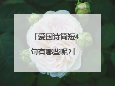 爱国诗简短4句有哪些呢?