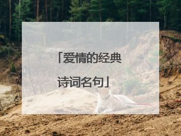 爱情的经典诗词名句