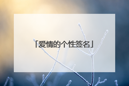 爱情的个性签名