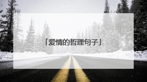爱情的哲理句子