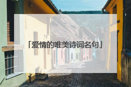 爱情的唯美诗词名句