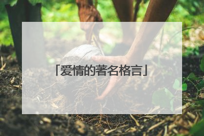 爱情的著名格言