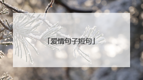爱情句子短句