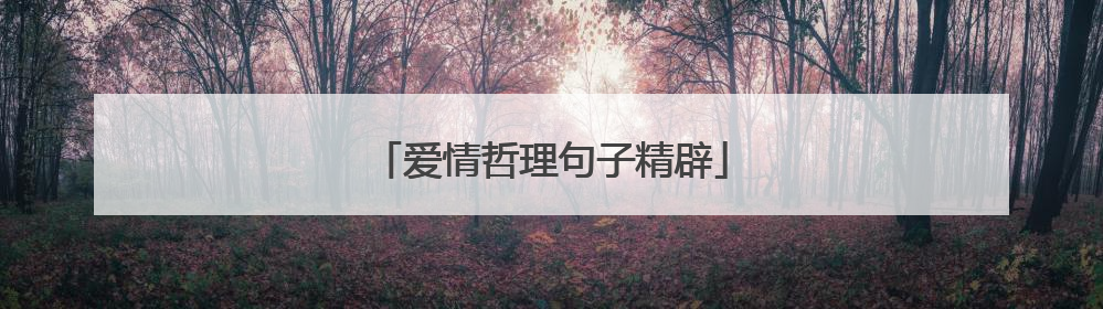 爱情哲理句子精辟