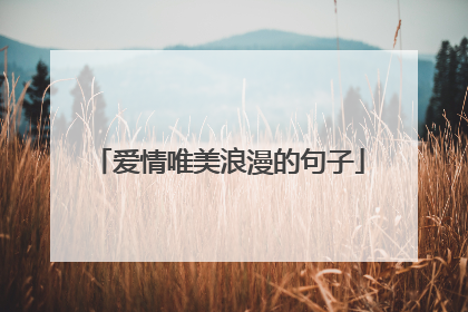 爱情唯美浪漫的句子