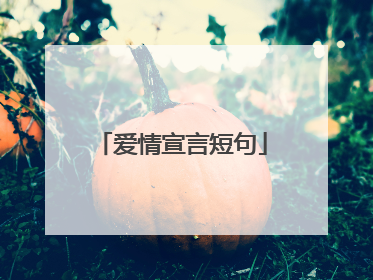 爱情宣言短句