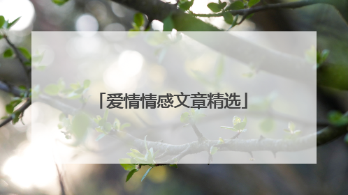 爱情情感文章精选