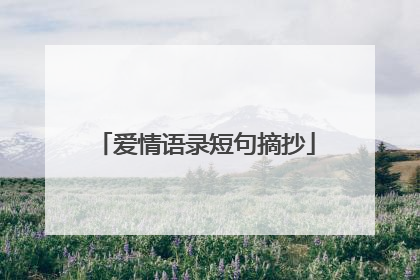 爱情语录短句摘抄