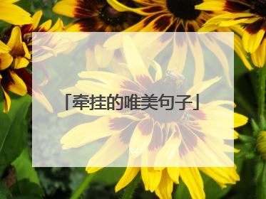 牵挂的唯美句子