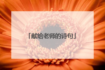 献给老师的诗句