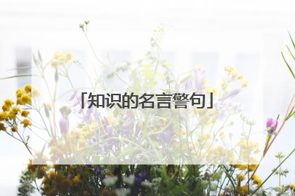 知识的名言警句