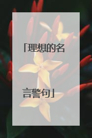 理想的名言警句