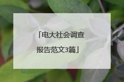 电大社会调查报告范文3篇