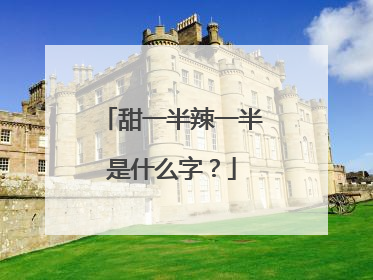 甜一半辣一半是什么字？