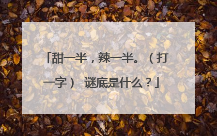 甜一半，辣一半。（打一字） 谜底是什么？