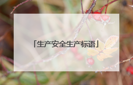 生产安全生产标语