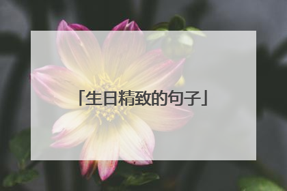 生日精致的句子