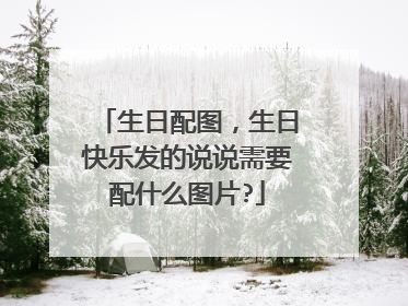生日配图，生日快乐发的说说需要配什么图片?