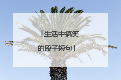 生活中搞笑的段子短句