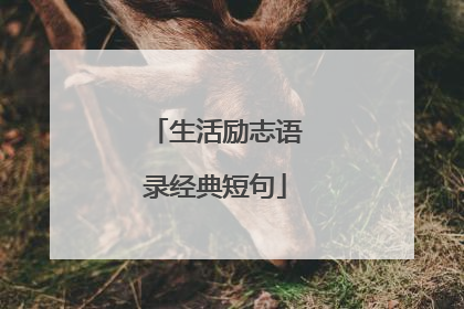 生活励志语录经典短句
