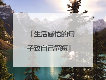 生活感悟的句子致自己简短
