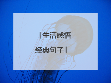 生活感悟经典句子