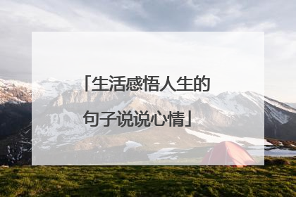生活感悟人生的句子说说心情