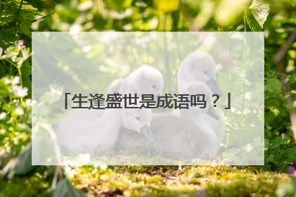 生逢盛世是成语吗？